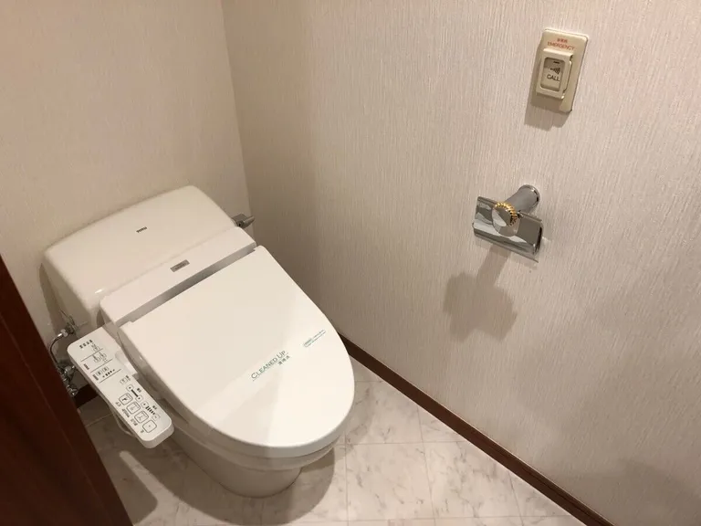 Toilet