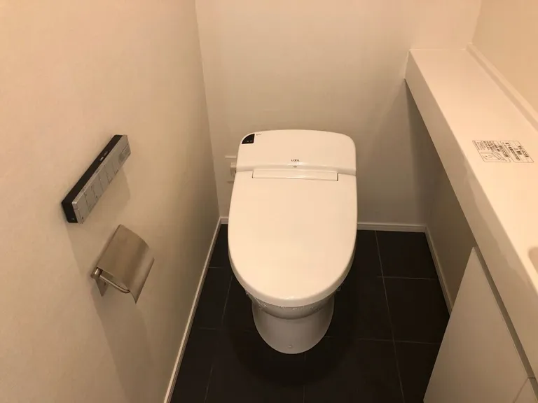 Toilet