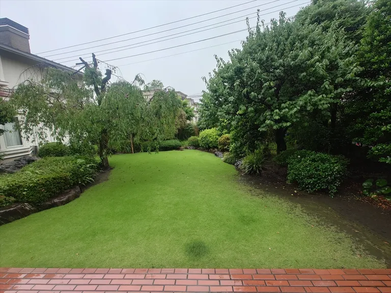 庭