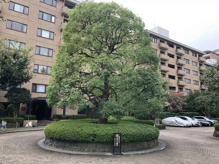 広尾ガーデンヒルズ　M棟 外観