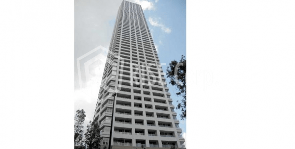 ザ・パークハウス西新宿タワー 60 外観