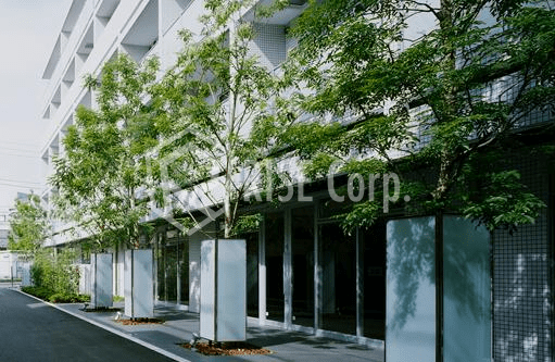 Roppongi Duplex M`s Building