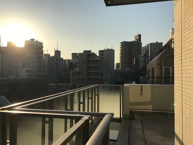 View