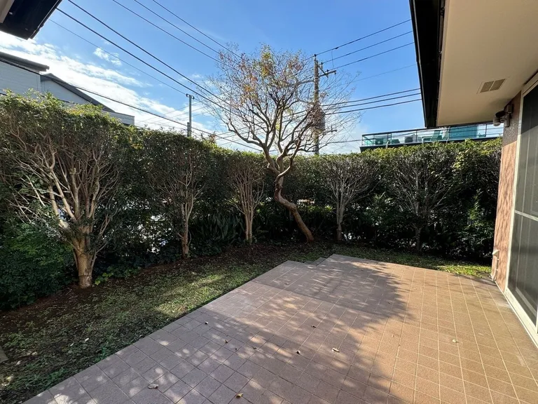 庭