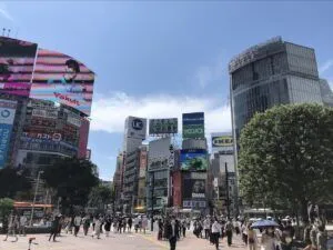 Tokyo Area Guide / SHIBUYA, Shibuya-kuメイン画像