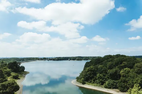 東京周辺の日帰り旅行：狭山湖＆多摩湖ウォーキング・サイクリング | 外国人旅行者向けガイドメイン画像