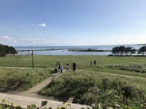 都心エリアのご紹介/葛西～大島メイン画像