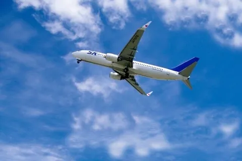 Main image of Entering and Re-entering Japan with a Working Visa