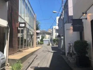Tokyo Area Guide / DAIKANYAMA, Shibuyaメイン画像