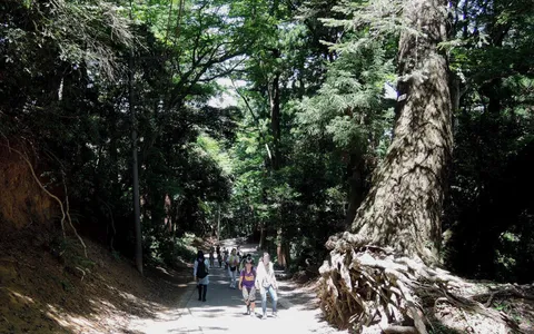 Main image of Takaosan (Mt. Takao) attractions | Enjoy Holidays in Tokyo