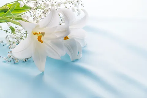 Main image of Rules on real-estate transactions in Japan | Jiko Bukken