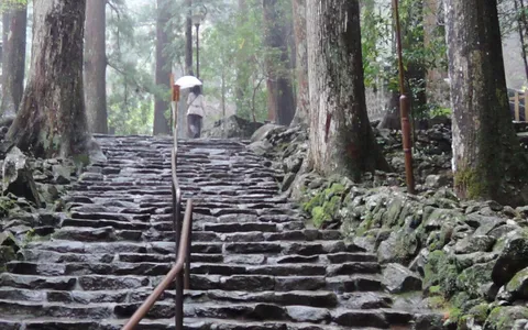 梅雨時期の湿気対策について｜東京での生活メイン画像