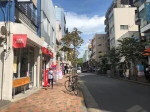 Main image of Tokyo Area Guide / HIROO and AZABU, Minato