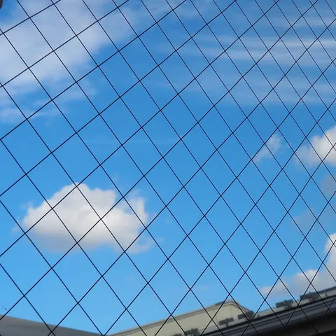 なぜ必要？網入りガラスの用途と設置の規則、取扱いについてメイン画像