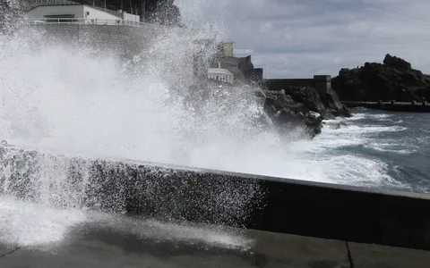 台風の接近と水害に備える｜東京での生活メイン画像