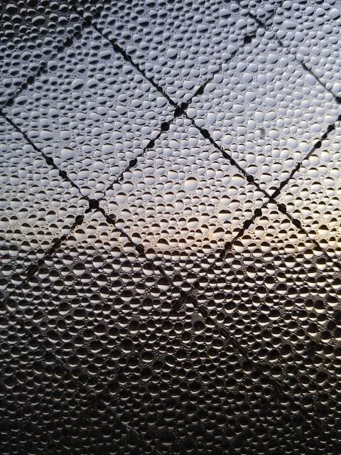 結露によるカビ発生に要注意 | 外国人向け生活ガイドメイン画像