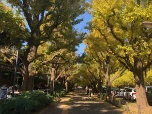 都心エリアご紹介　東京　青山一丁目メイン画像