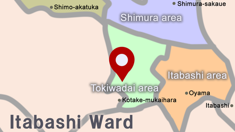 Mulberry International School