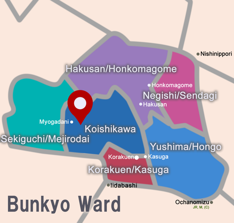 Joy to the World American International School