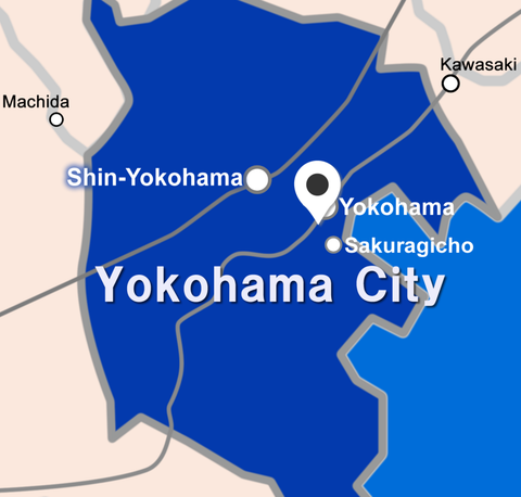 YES International School